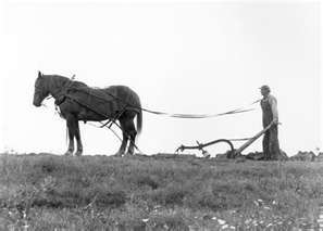 farmer-with-horse-plowing